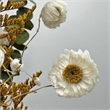 Bergamo Art 14 Inch High Real Preserved Mixed Bouquets Mix 6 in Medium