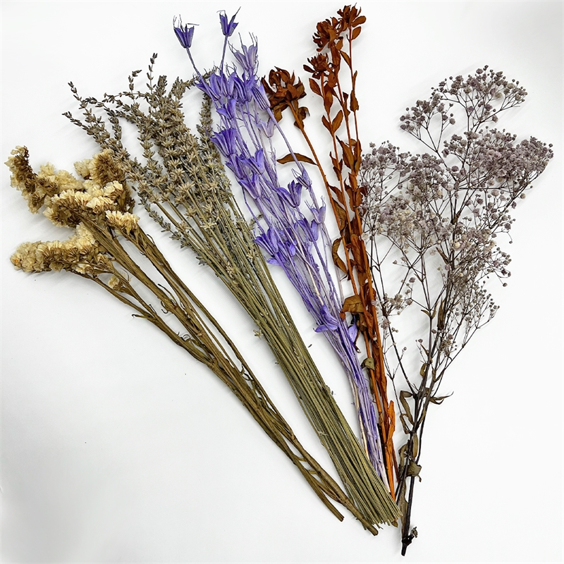 Bergamo Art 10 Inch High Real Preserved Mixed Bouquets Mix 7 in Small