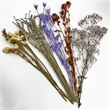 Bergamo Art 10 Inch High Real Preserved Mixed Bouquets Mix 7 in Small