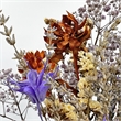 Bergamo Art 10 Inch High Real Preserved Mixed Bouquets Mix 7 in Small