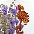 Bergamo Art 10 Inch High Real Preserved Mixed Bouquets Mix 7 in Small