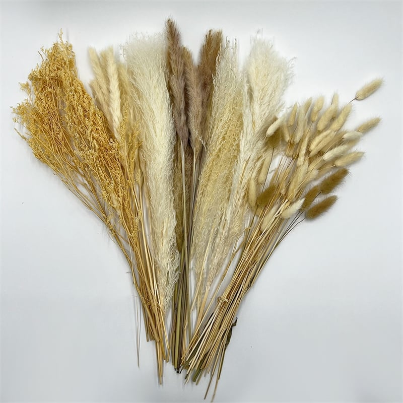 Bergamo Art 10 Inch High Real Preserved Mixed Bouquets Mix 8 in Small