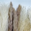 Bergamo Art 10 Inch High Real Preserved Mixed Bouquets Mix 8 in Small