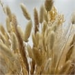 Bergamo Art 10 Inch High Real Preserved Mixed Bouquets Mix 8 in Small