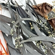 Bergamo Art 20 Inch High Real Preserved Mixed Bouquets Mix 10 in Large