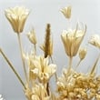 Bergamo Art 14 Inch High Real Preserved Mixed Bouquets Mix 11 in Medium