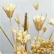 Bergamo Art 20 Inch High Real Preserved Mixed Bouquets Mix 11 in Large