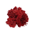 Bergamo Art 95g Preserved Reindeer Moss in Red