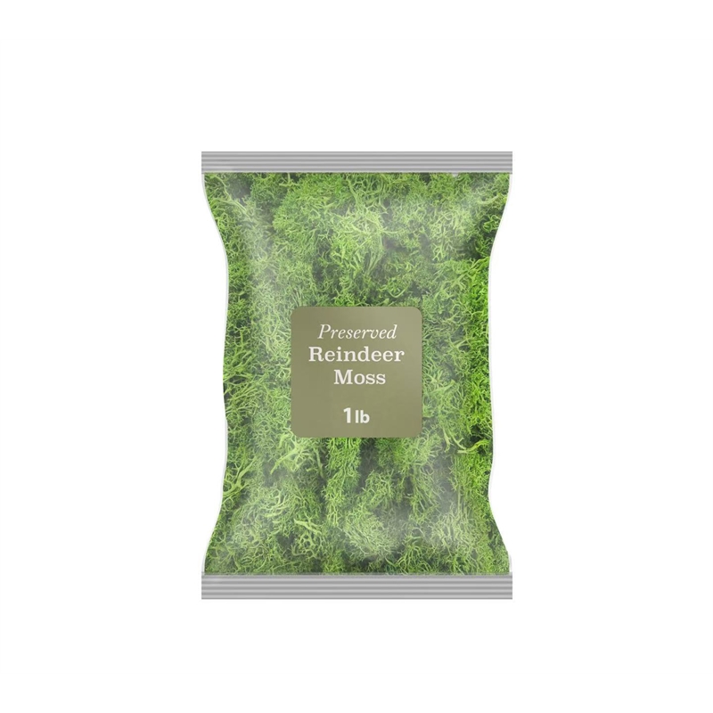 Bergamo Art 450g Preserved Reindeer Moss in Emerald Green
