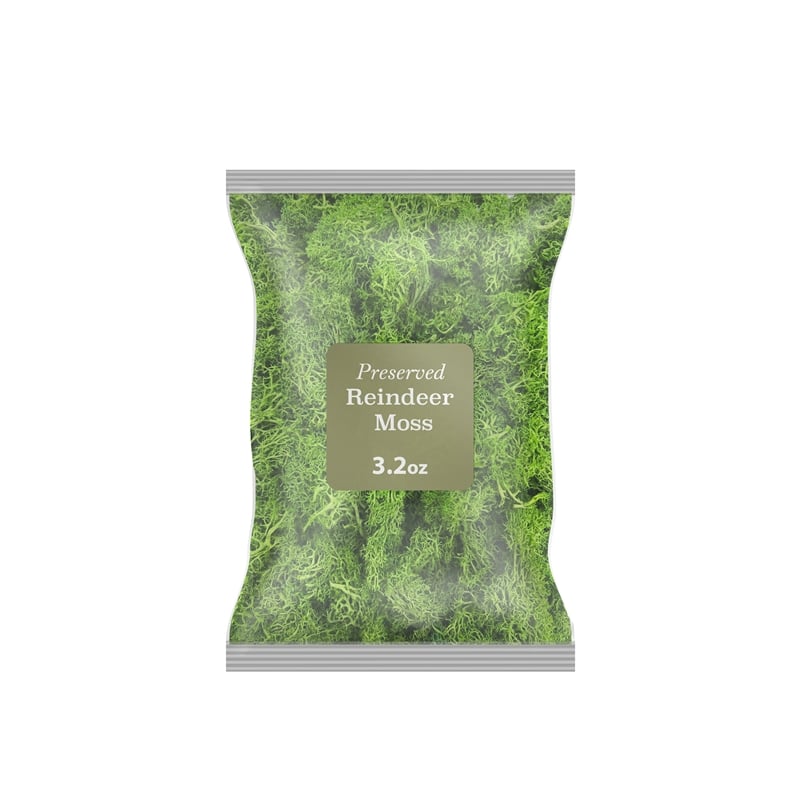 Bergamo Art 95g Preserved Reindeer Moss in Emerald Green