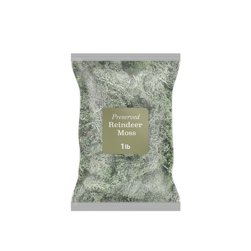 Bergamo Art 450g Preserved Reindeer Moss in Grass Green