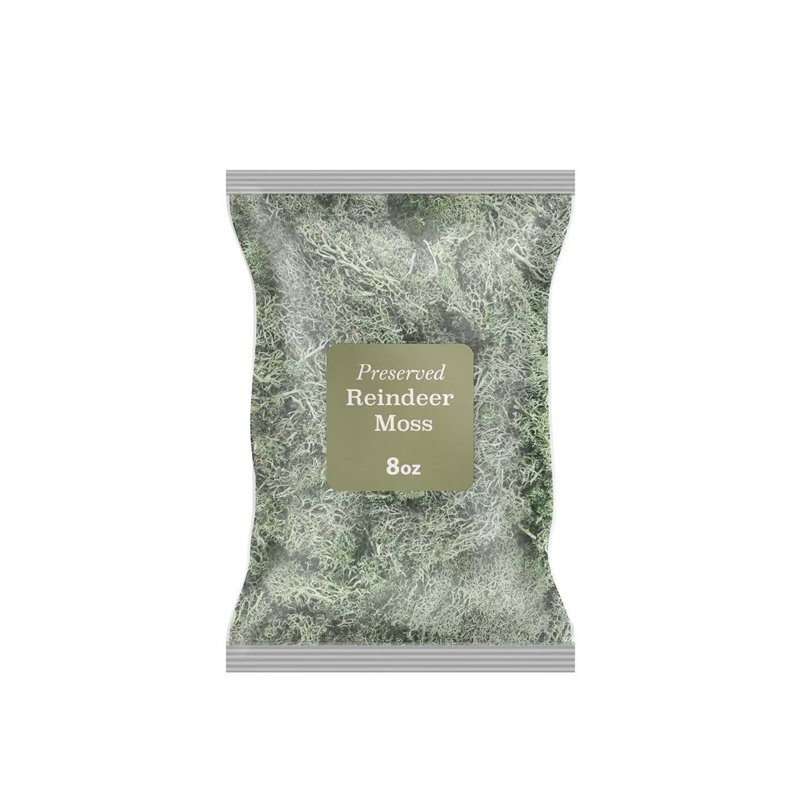 Bergamo Art 200g Preserved Reindeer Moss in Grass Green
