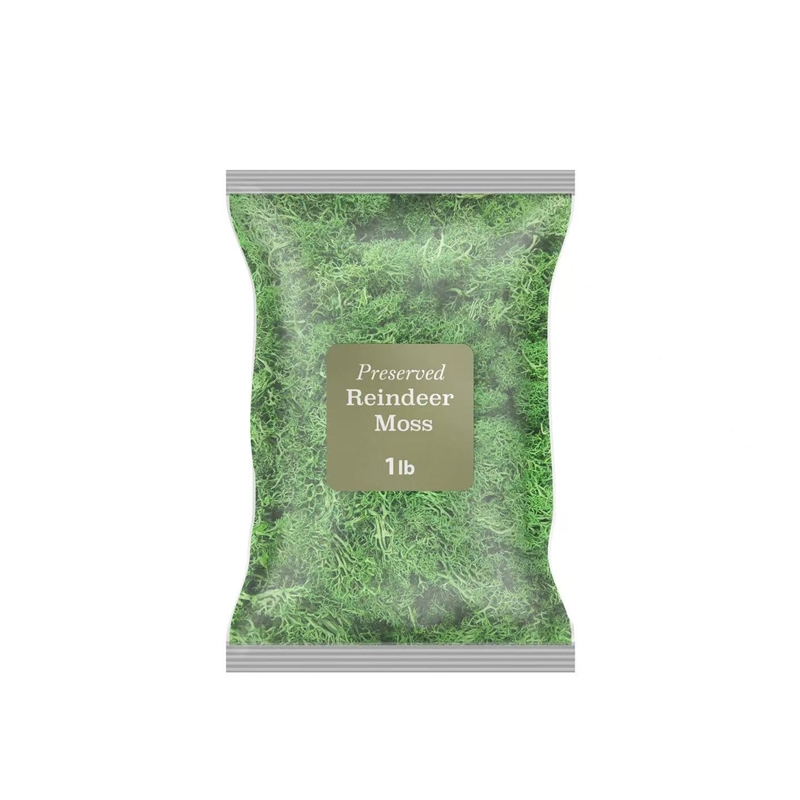 Bergamo Art 450g Preserved Reindeer Moss in Green