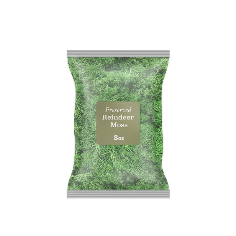 Bergamo Art 200g Preserved Reindeer Moss in Green
