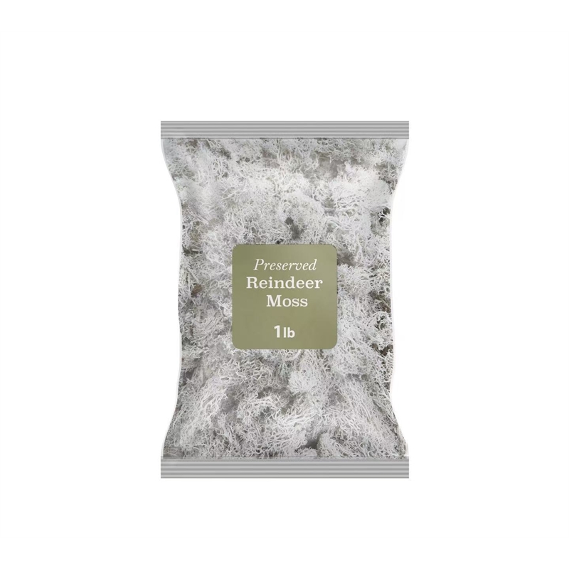 Bergamo Art 450g Preserved Reindeer Moss in White