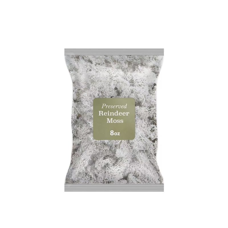 Bergamo Art 200g Preserved Reindeer Moss in White