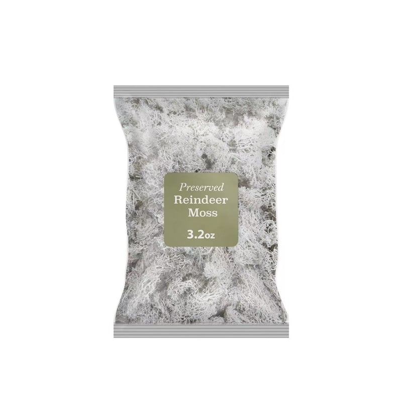 Bergamo Art 95g Preserved Reindeer Moss in White
