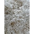 Bergamo Art 95g Preserved Reindeer Moss in White