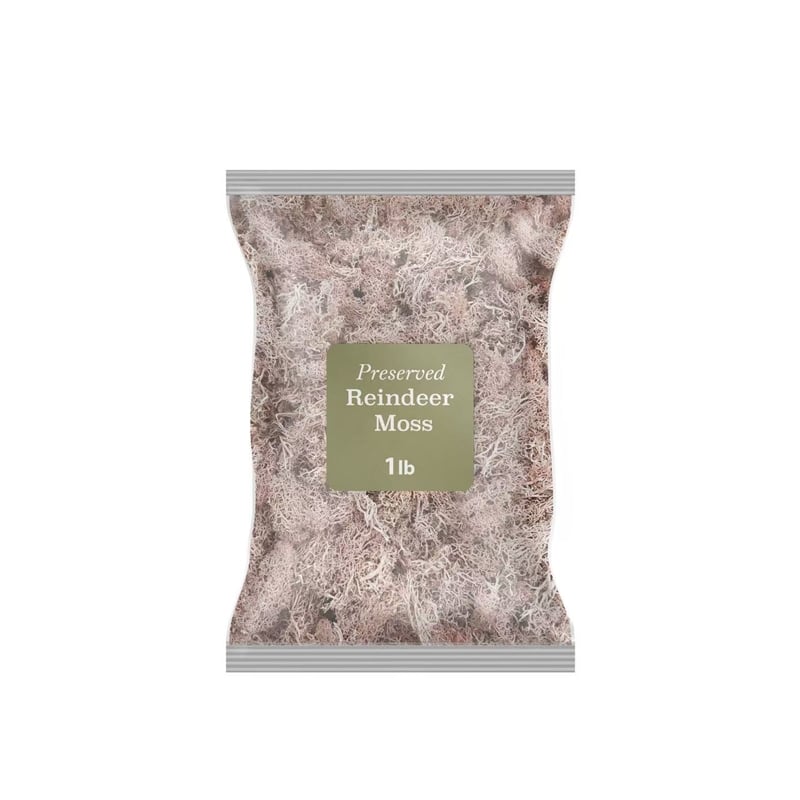Bergamo Art 450g Preserved Reindeer Moss in Pink