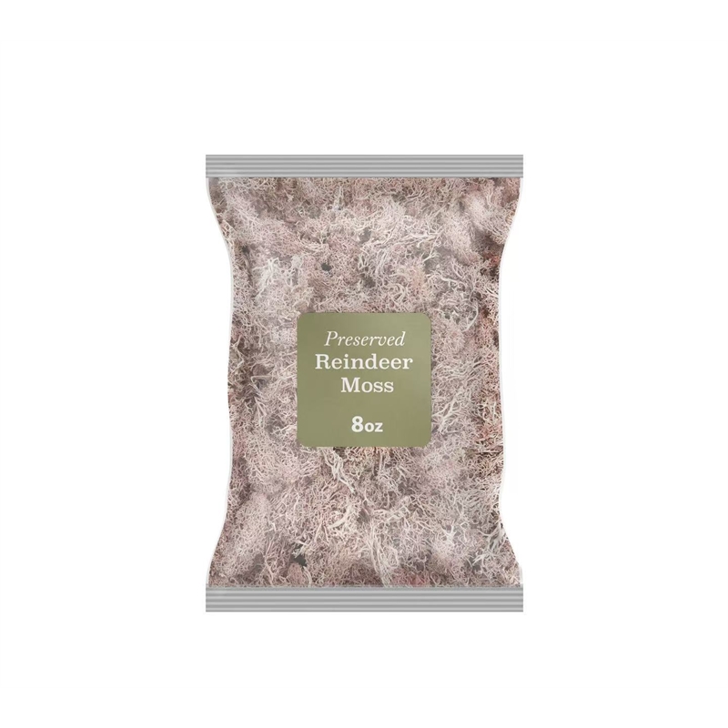 Bergamo Art 200g Preserved Reindeer Moss in Pink