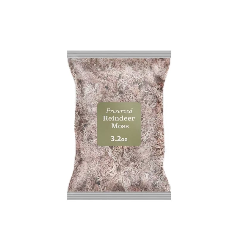 Bergamo Art 95g Preserved Reindeer Moss in Pink