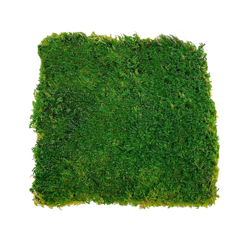 Bergamo Art Green Flat sheet Moss 2 sq feet