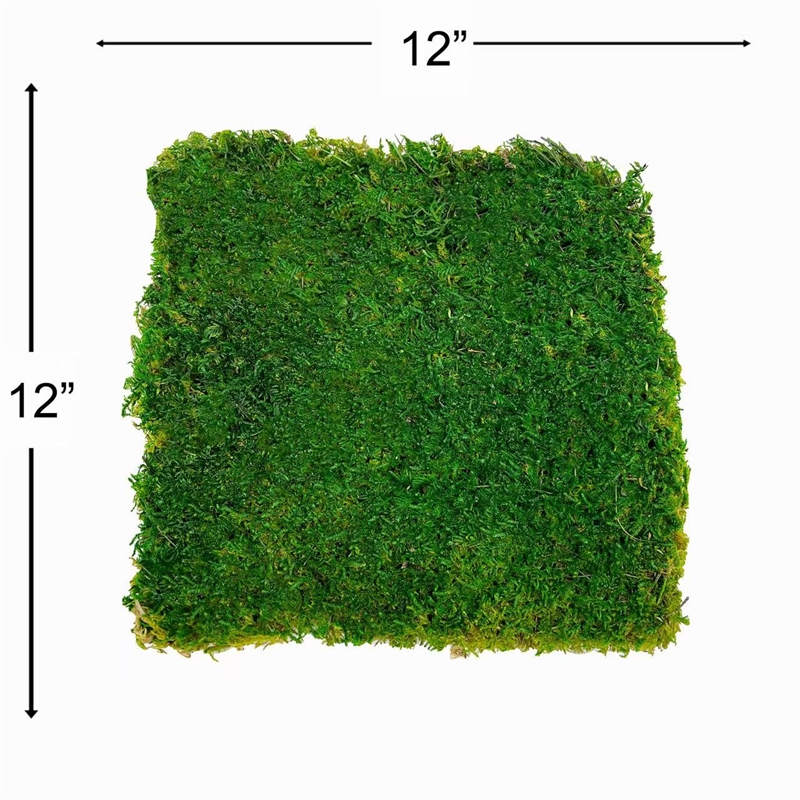 Bergamo Art Green Flat sheet Moss 2 sq feet