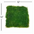 Bergamo Art Green Flat sheet Moss 2 sq feet