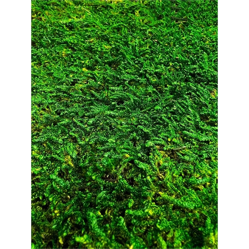 Bergamo Art Green Flat sheet Moss 2 sq feet
