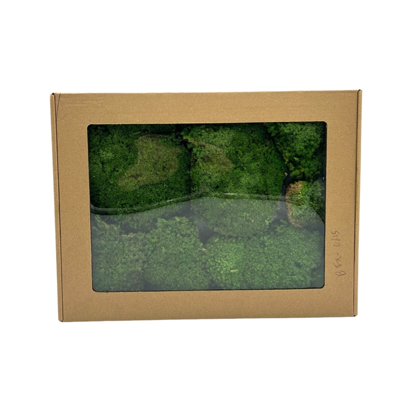 Bergamo Art Preserved Pole Bun Pillow Cushion Moss in Emerald Green