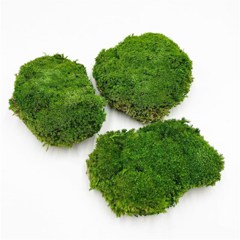 Bergamo Art Preserved Pole Bun Pillow Cushion Moss in Grass Green