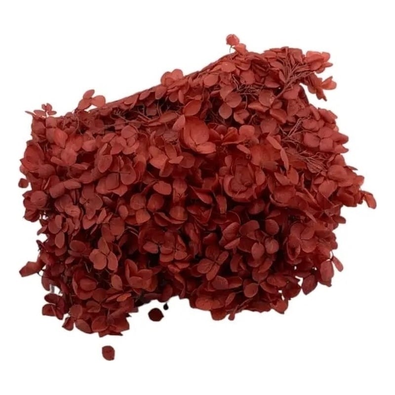 Bergamo Art Preserved Anna Hydrangea(Box) in Red
