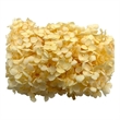 Bergamo Art Preserved Anna Hydrangea(Box) in Champagne