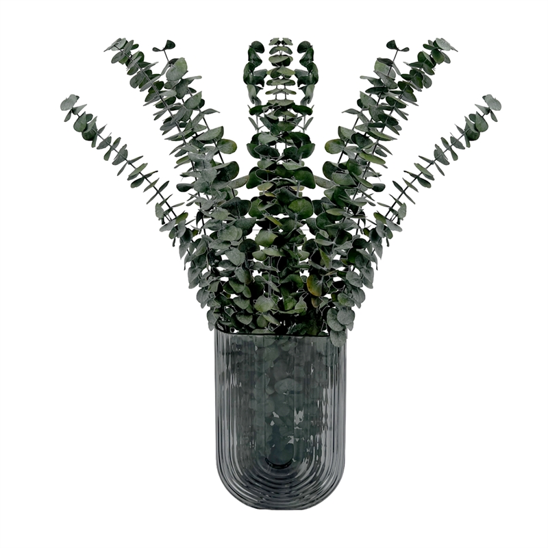 Bergamo Art Bundle of 4 Preserved Eucalyptus Leaves in 17-23
