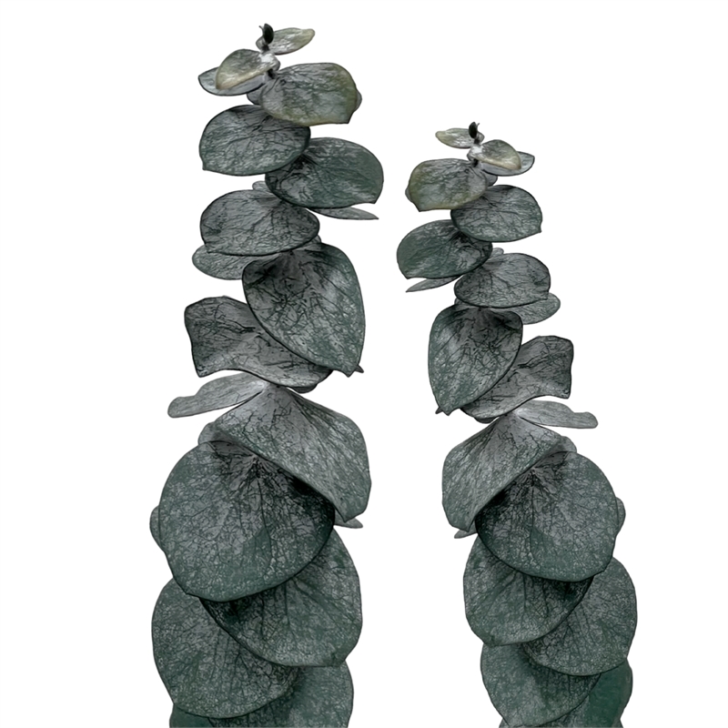 Bergamo Art Bundle of 4 Preserved Eucalyptus Leaves in 17-23