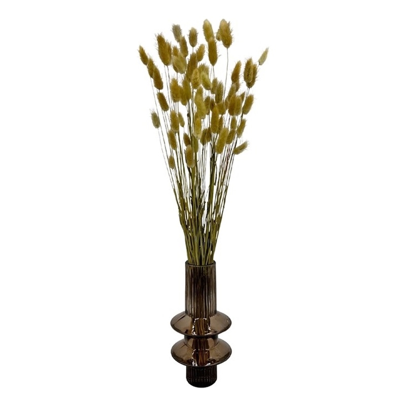 Bergamo Art Bundle of 4 Bunch Dried Bunny Tails Grass-20-24