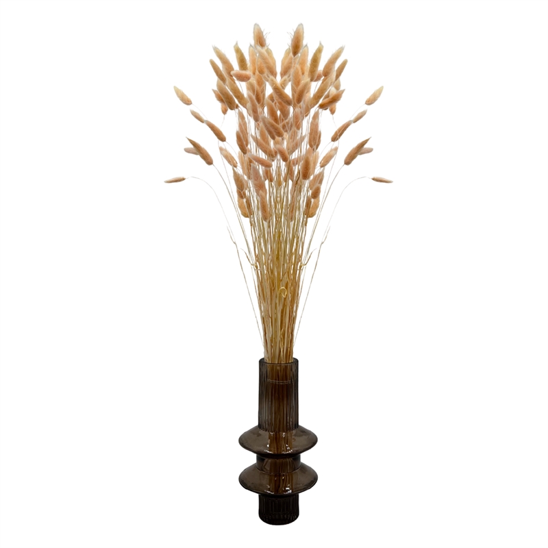 Bergamo Art Bundle of 4 Bunch Dried Bunny Tails Grass-20-24