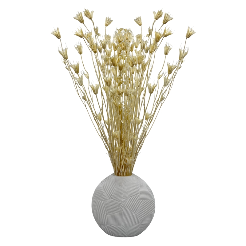 Bergamo Art Bundle of 4 Dried Octagon Flower in White