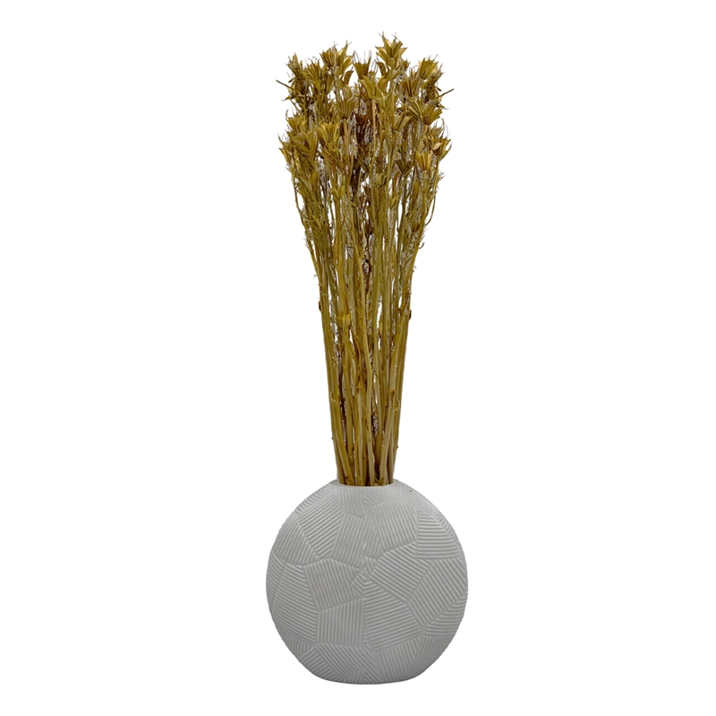 Bergamo Art Bundle of 4 Dried Octagon Flower in Natural