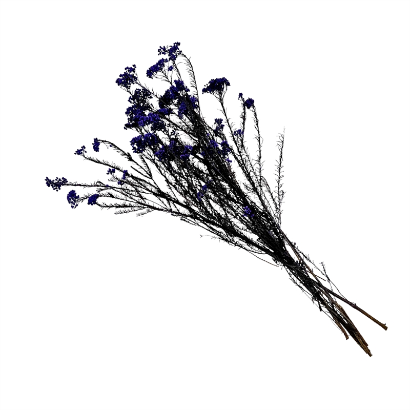 Bergamo Art Bundle of 4 Preserved Millet Rice Flower in Purple
