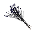 Bergamo Art Bundle of 4 Preserved Millet Rice Flower in Purple