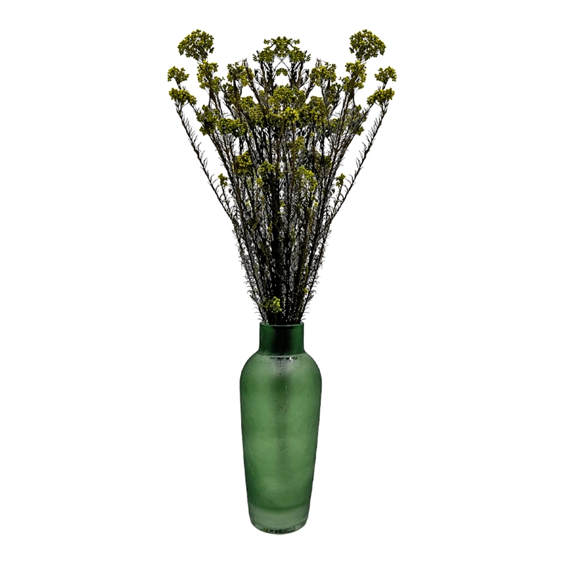 Bergamo Art Bundle of 4 Preserved Millet Rice Flower in Yellow Green