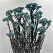 Bergamo Art Bundle of 4 Preserved Millet Rice Flower in Blue