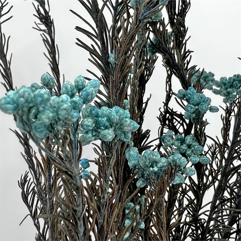 Bergamo Art Bundle of 4 Preserved Millet Rice Flower in Blue