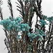 Bergamo Art Bundle of 4 Preserved Millet Rice Flower in Blue