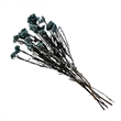 Bergamo Art Bundle of 4 Preserved Millet Rice Flower in Blue