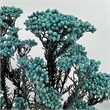 Bergamo Art Bundle of 4 Preserved Millet Rice Flower in Blue