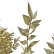 Bergamo Art Bundle of 4 Preserved Ruscus 22-24