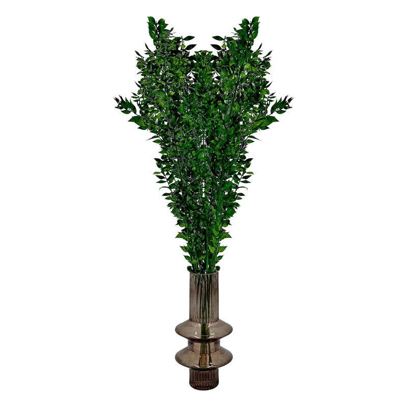 Bergamo Art Bundle of 4 Preserved Ruscus 22-24