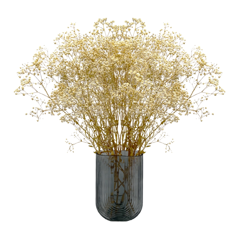 Bergamo Art Bundle of 4 Preserved Gypsophila Baby's Breath 24